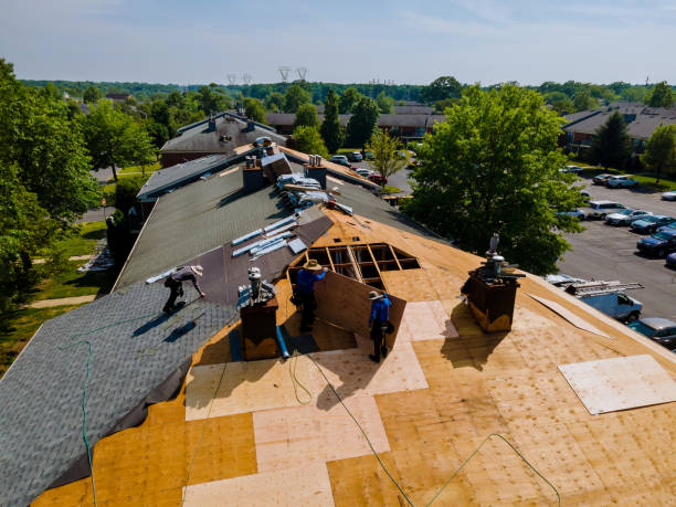 24/7 Emergency Roof Repair experts in Caledonia, ND